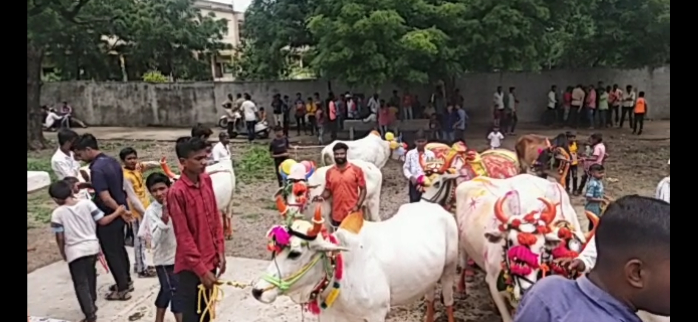 Screenshot_20210906_173736