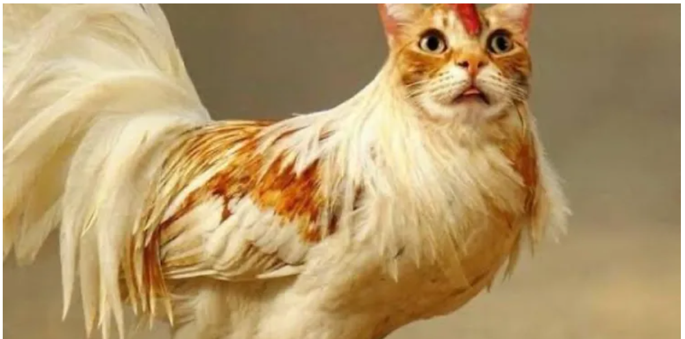 Screenshot_2021_1224_221552