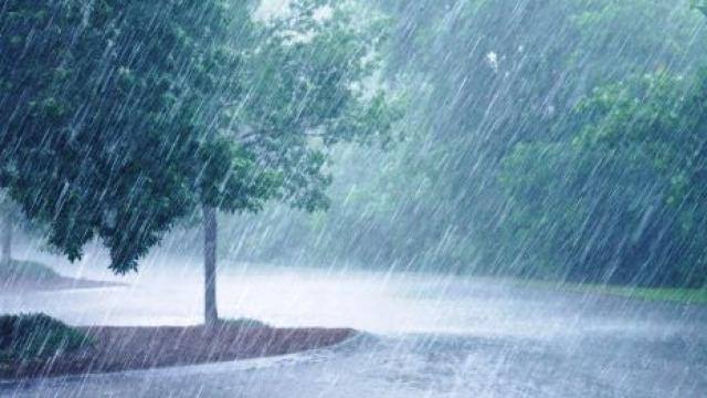 file_photo_1610432787