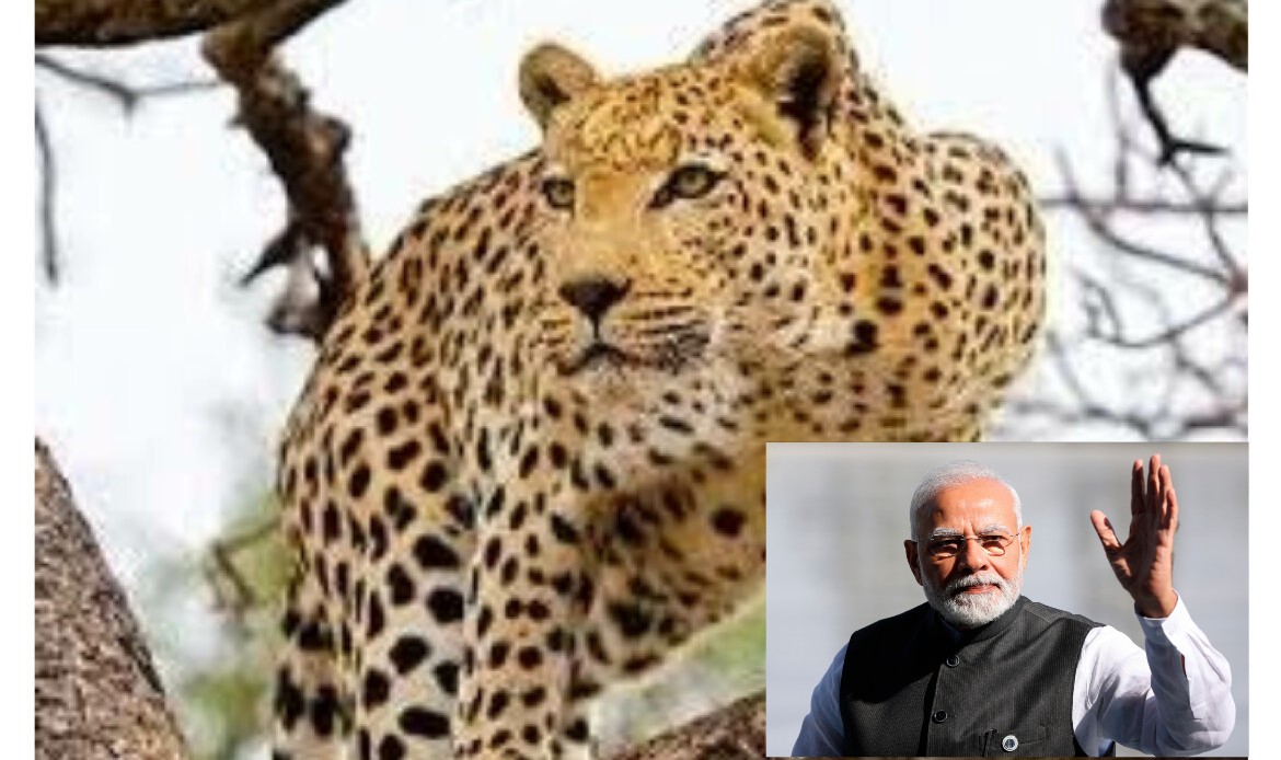 AddText_05-25-04.45.06