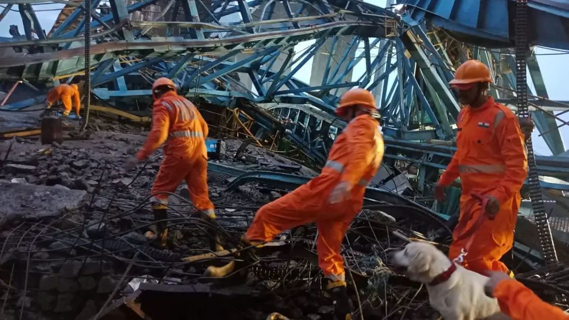 n52385001616908749998578ff31b4b90754f5b0b3b022a26516a0a0ba14d7ce0365062184942dc04be050f