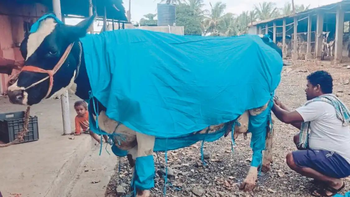 n547364542169735980997690a7684777a70ff258e6c2b2e90c59c86de8d468cc3ff9907403ee2c9e3d88c4