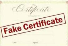 बनावट प्रमाणपत्र प्रकरणी दोन कर्मचारी निलंबित