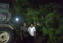 सुनसगाव परिसरात अवकाळी पावसामुळे तारांबळ !