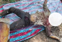 साकेगाव शिवारात विहिरीत आढळला अनोळखी मृतदेह !