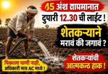 45 अंश तापमानात दुपारची वीजपुरवठा वेळ; शेतकऱ्यांनी जगायचं की मरायचं ?
