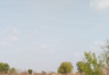 ना.संजयभाऊ सावकारे यांच्या प्रयत्नाने वाघुर धरणाच्या उजव्या कालव्यातून आवर्तन सुटले !