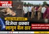 शेतात पेरणी करताना विजेचा धक्का लागून बैल ठार !