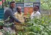 तुषारभाऊ सैंदाणे यांच्या वाढदिवसानिमित्त पर्यावरण संवर्धनाचा अनोखा संकल्प; २०० वृक्ष लागवडीची मोहीम राबविणार