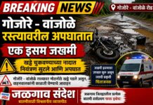 गोजोरे – वांजोळे रस्त्यावरील अपघातात एक इसम जखमी ?