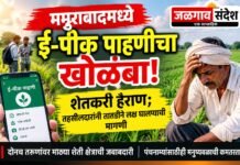 ममुराबादमध्ये ई-पीक पाहणीचा खोळंबा; शेतकरी हैराण