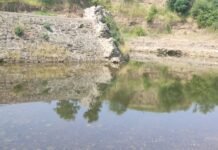 ऐन दुष्काळजन्य परिस्थितीतही सुनसगाव के टी वेअर मधून लाखों लिटर पाणी वाया !