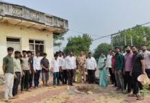 सुनसगावात विजयादशमीच्या दिवशी वृक्षारोपण सोहळा !